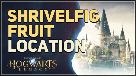 Shrivelfig Fruit Location Hogwarts Legacy Youtube