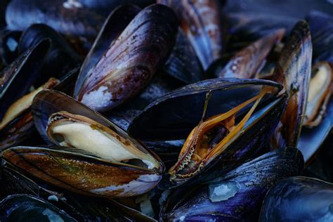 Los Mejores Platos Con Marisco Distribuidores De Marisco En Sevilla