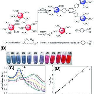 Schematic of the anti-aggregation strategy applied in Au NPs/Ag ...