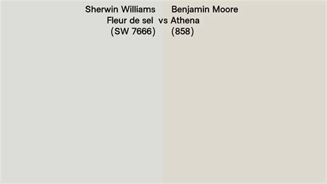 Sherwin Williams Fleur De Sel Sw 7666 Vs Benjamin Moore Athena 858 Side By Side Comparison