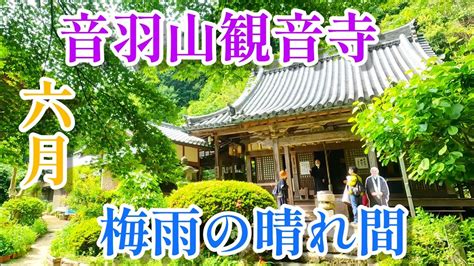 やまと尼寺精進日記のお寺令和5年6月の音羽山観音寺 YouTube