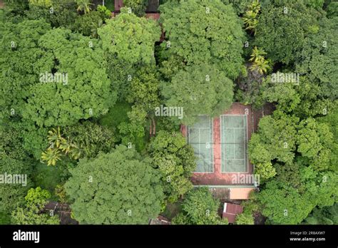 Two Empty Tenis Courts Aerial View Surround With Green Oark Tree Stock
