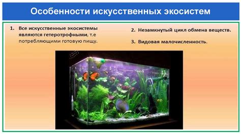 Искусственные экосистемы. Биология. 11 класс - презентация онлайн