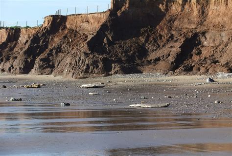 Free stock photo of coastal erosion