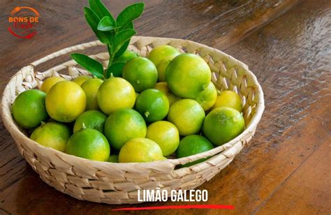 Limão Um Tempero Em Forma De Fruta