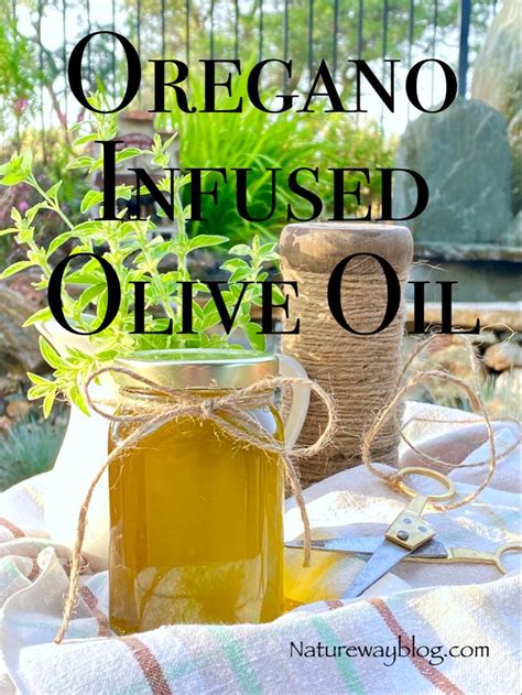 DIY How To Make Oregano Infused Olive Oil Nature Way Infused Oil