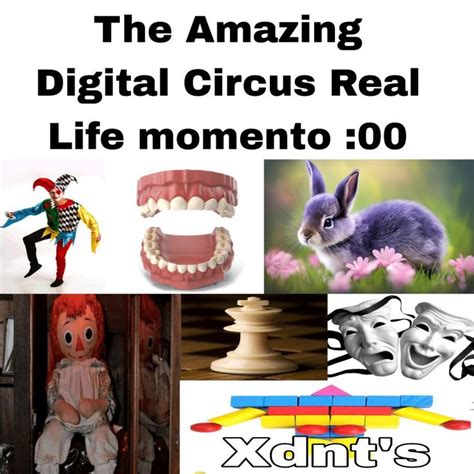 The Amazing Digital Circus Vida Real 🙀🙀🙀🙀🙀🙀🙀 | Gato naranja, Memes para reirse, Circo