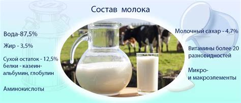 Состав молока - витамины, калорийность, полезные свойства