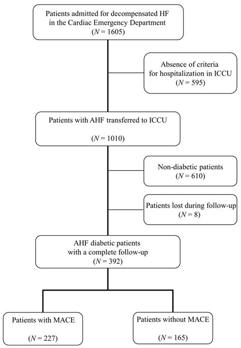 Flowchart Of The Study Ahf Acute Heart Failure Iccu Intensive