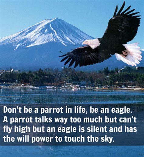 Fly Like An Eagle Quotes. QuotesGram