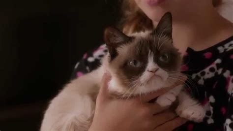 The Official Trailer for 'Grumpy Cat's Worst Christmas Ever' on ...