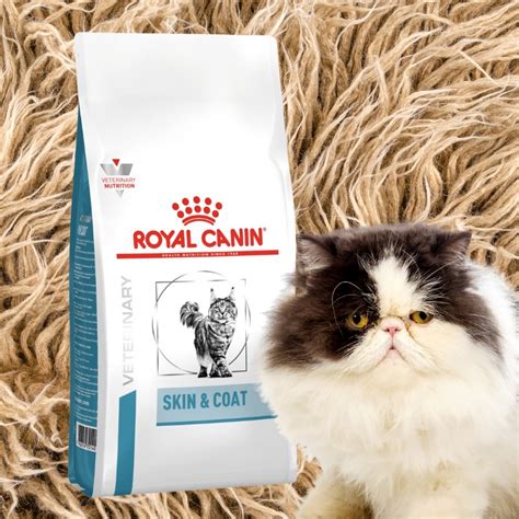Royal canin Cat - Skin and Coat (1.5kg/3.5kg) | Shopee Malaysia