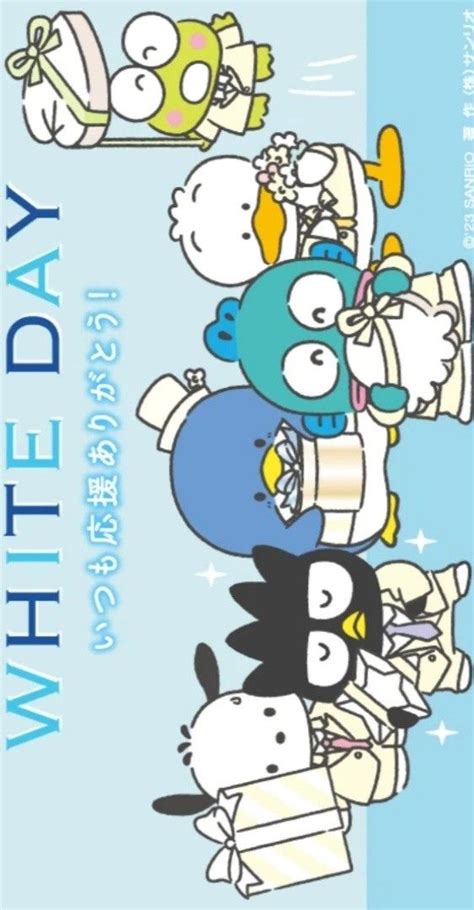 Sanrio Characters 💗 | Sanrio characters, Sanrio wallpaper, Hello kitty