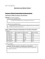 Lab 7 Pdf Name Italia Quezada Enzymes Lab Report Sheet Exercise 2