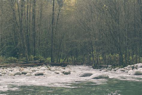 Images Gratuites Paysage Arbre Eau La Nature For T De Plein Air