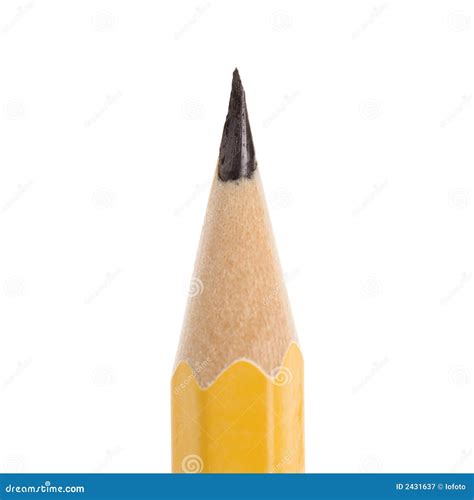 Sharp Pencil Stock Image Image Of Supplies Business 2431637