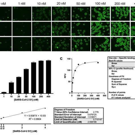 Binding Affinity Limit Of Detection Lod And Limit Of Quantification