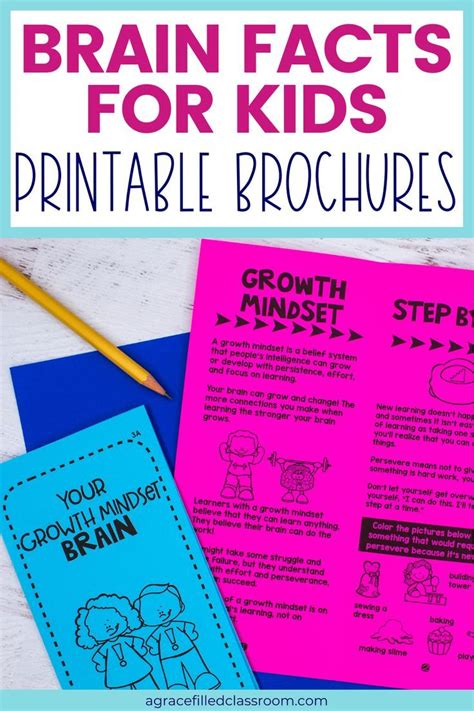 Growth Mindset Brain Facts Bundle Brain Facts Growth Mindset