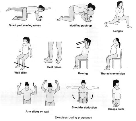 169 best images about Fitness | Pelvis on Pinterest | Yoga poses, Physical therapy and Muscle