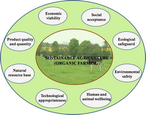 A Holistic Approach Of Organic Farming In Improving The Productivity