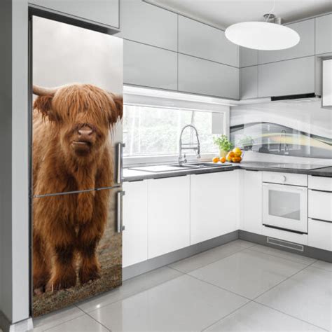 Self Adhesive Refrigerator Removable Magnet Animals Highland Cow Ebay