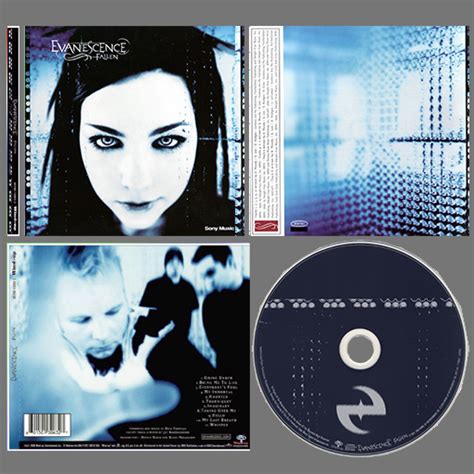 Evanescence Fallen CD for My Summer Car : MySummerCar