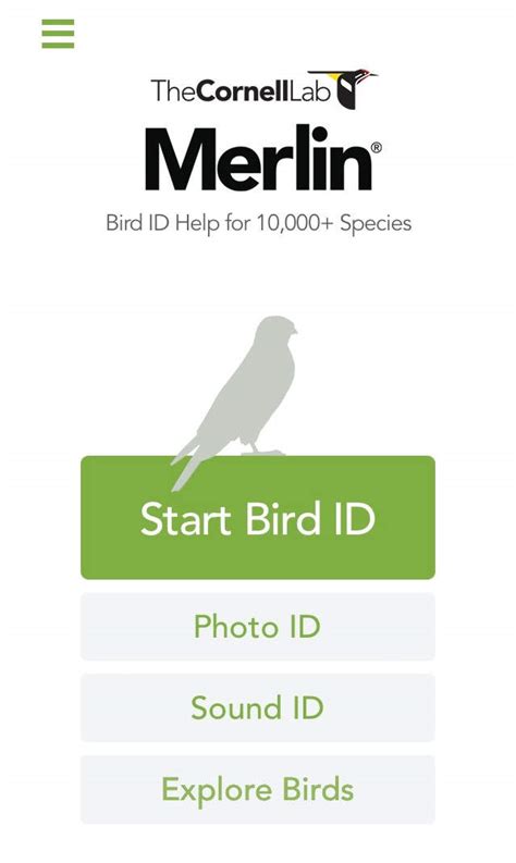 Review The Merlin Bird ID App Everything Not Human