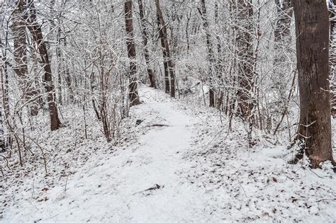 O Parque Coberto Por Uma Fina Camada De Neve No Inverno O Parque