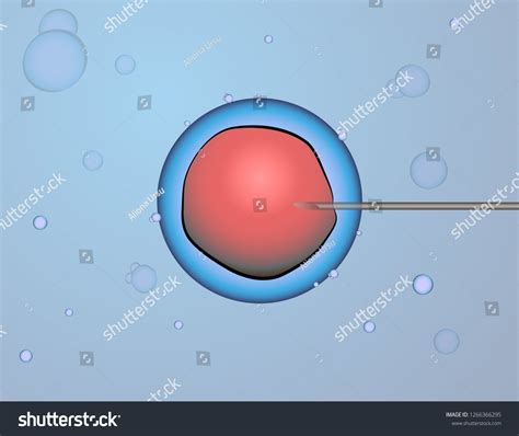 Science Background Cell Vector Biology Illustration Stock Vector (Royalty Free) 1266366295 ...