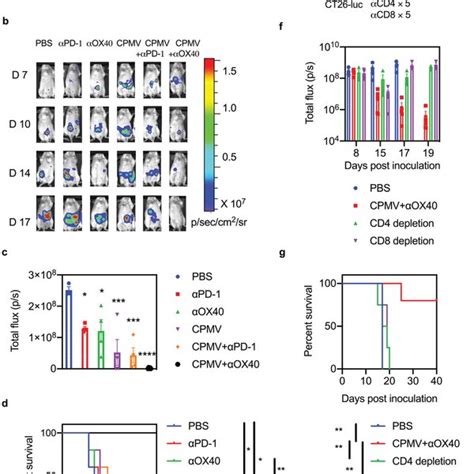 Combined Cpmv And Pd‐1 Inhibitor Treatment Synergistically Enhances