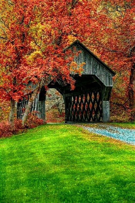 Covered Bridge In Fall New England Paisaje De Otoño Hermosos