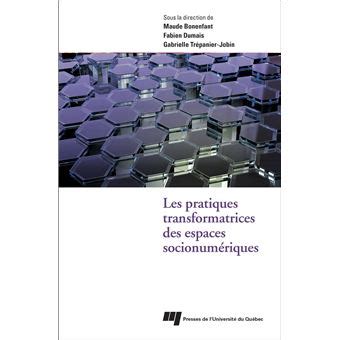 Pratiques Transformatrices Des Espaces Socionumeriques Broch Maude