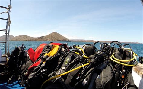 Plongée aux Galapagos dans les palmes de Darwin Terra Galapagos