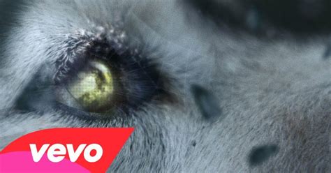 David Guetta ft. Sia - She Wolf (Video ufficiale e testo) | AllSongs