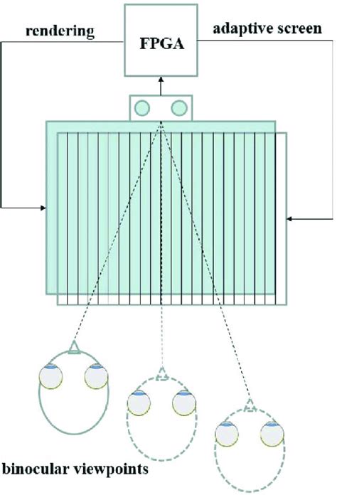 Schematic Diagram Of Binocular Viewpoint Tracking Feedback For Adaptive