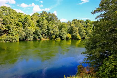 Mackrell Murcott – Waikato River, Hamilton Gardens, North Island, New ...