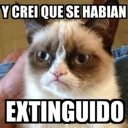 Meme Grumpy Cat Y Crei Que Se Habian Extinguido 11853841