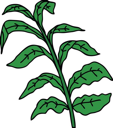 Hand Drawn Quirky Cartoon Vine Leaves 45054362 Png