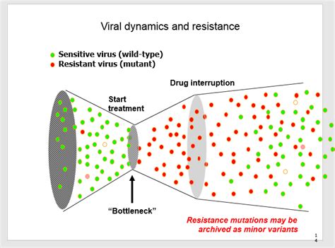 Zim Arv Shortage Could Trigger Massive Drug Resistance Healthtimes