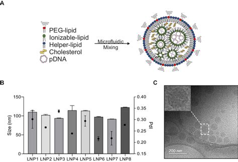 Synthesis And Characterization Of Lipid Nanoparticles Lnps For Pdna