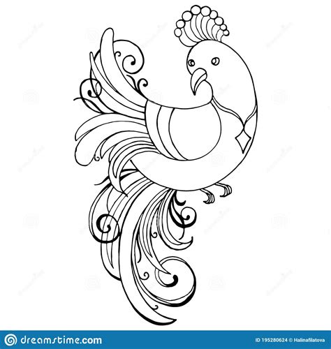 1458 Peacock, Drawing in Black and White, Peacock, Vector Illustration ...