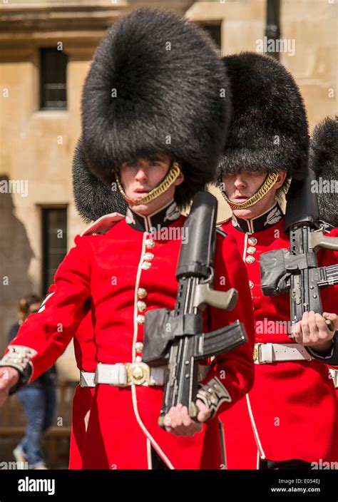 Buckingham Palace Guards Guns