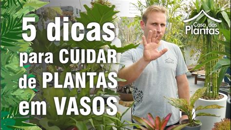 5 Dicas De Como Cuidar De Plantas Em Vasos YouTube