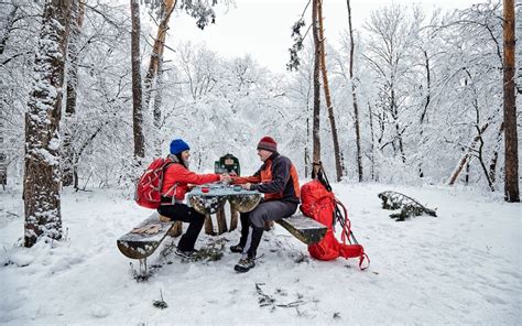 10 Winter Camping Tips for a Successful Trip - shelf