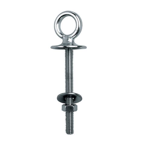 Stainless Steel Collared Eye Bolt Model