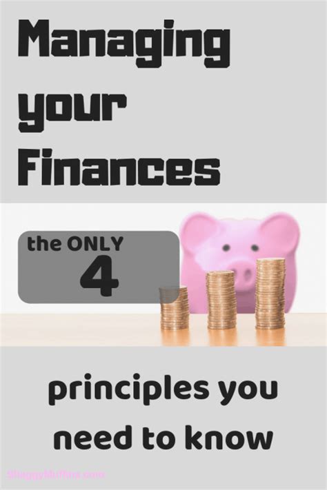 principles    managing  finances shaggy muffins