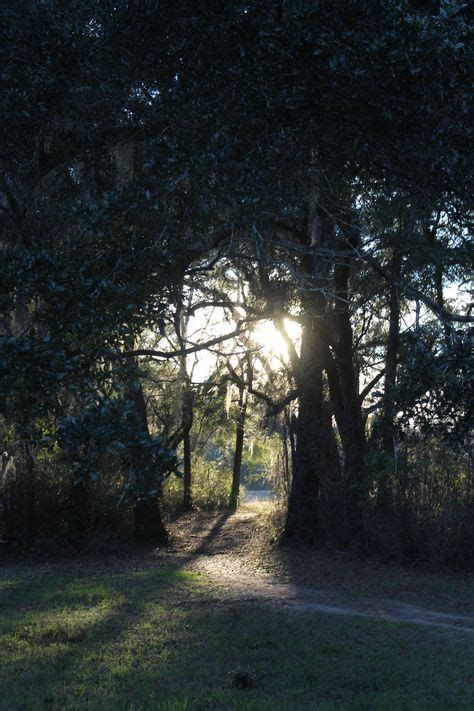 11 Tallahassee Sights Ideas Tallahassee Sights Cascade Park