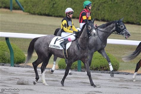 ヒトツデモカチタイ Hitotsudemokatitai 競走馬データベース 競馬ラボ