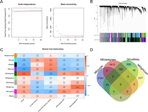 Screening Of Immune Cell Related Modules And Genes Using Wgcna A