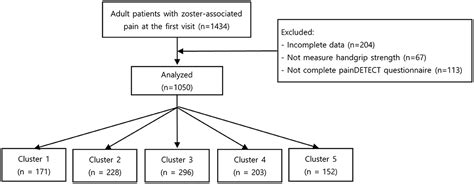 Frontiers Subgrouping Patients With Zoster Associated Pain According